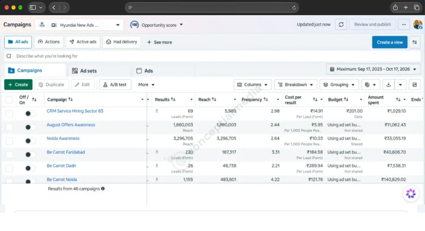Lead campaign performance report - Conceptial Media