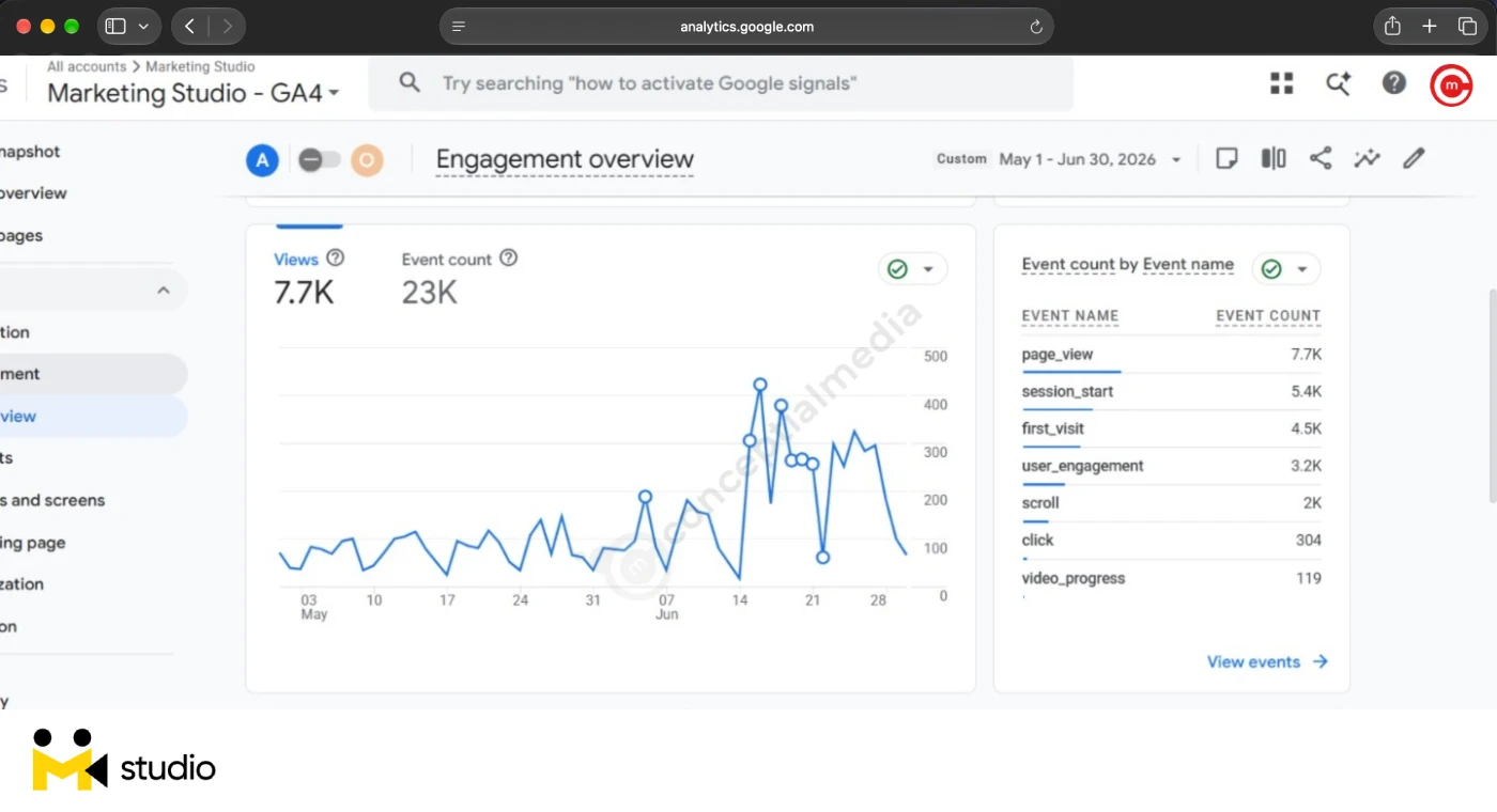 Marketing Studio - organic search results report, SEO by Conceptial Media